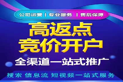 精准投放，高效转化：关键词竞价排名案例解析